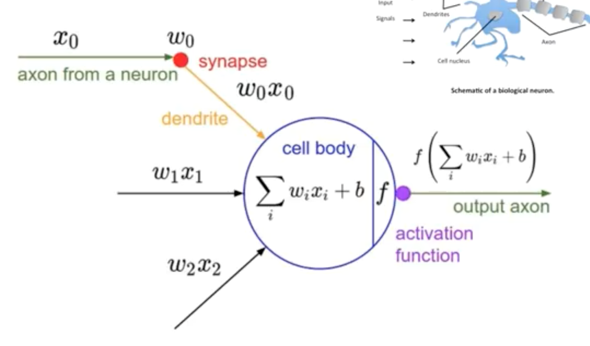 activation_func